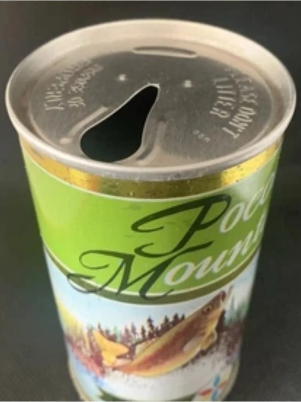 Vintage Beer Can Pocono Mountain Premium Beer Steel Can Pull Tab Empty Fishing